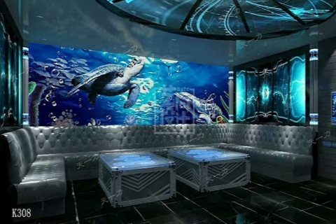 吉安小时场ktv尽享新模式-永新县ktv预定